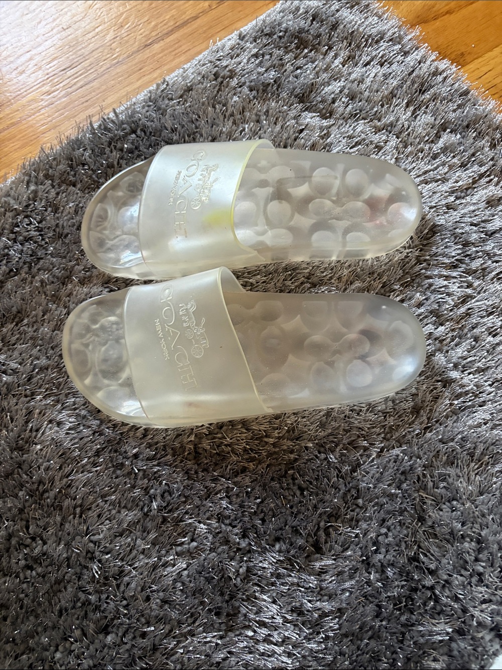 Coach Translucent Ivory Clear Slide Sandals